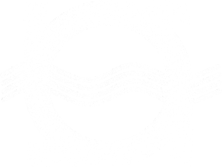 Logo-indrhi-blanco
